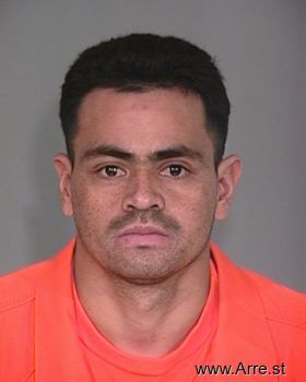 Fernando N Rosales-medel Mugshot