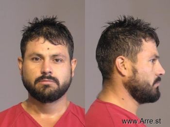 Fernando  Sanchez Perez Mugshot