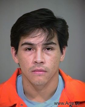 Francisco  Alvarez-villanueva Mugshot