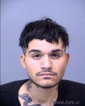 Francisco Javier Castaneda Figuero Mugshot