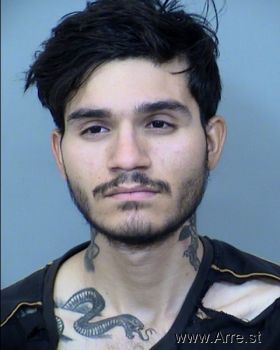 Francisco Javier Castaneda Figuero Mugshot