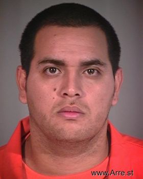 Gabriel  Flores Mugshot