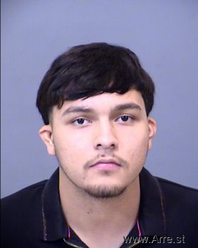 Gabriel Omar Hernandez Fadel Mugshot