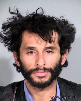 Gabriel  Ruiz Mugshot