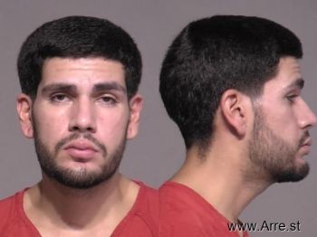 Gabriel Grecco Sotelo Mugshot