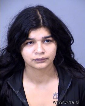 Gabriela Lizeth Verdugo Garcia Mugshot