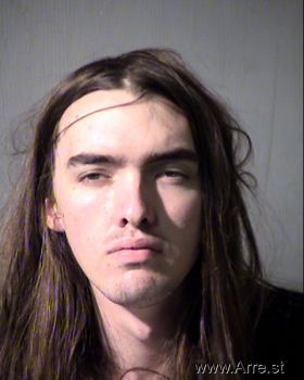 Gage Austin Davis Mugshot