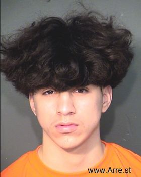 George D Santos Mugshot