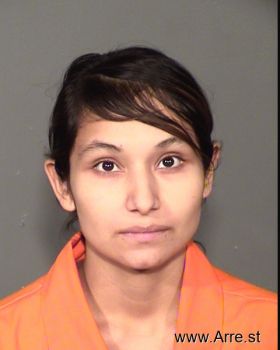 Guadalupe L Gonzalez Mugshot