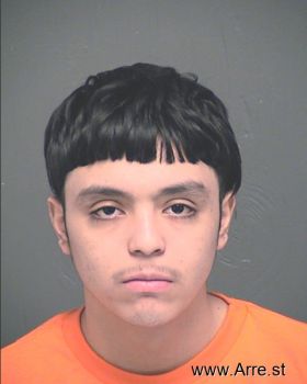 Guadalupe M Martinez Mugshot