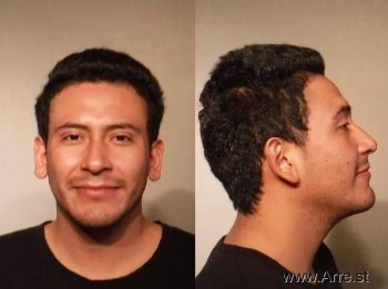 Gustavo  Sanchez-martinez Mugshot