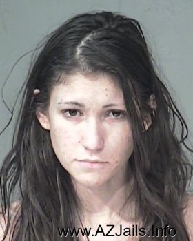 Heather Ashley Schultz Mugshot