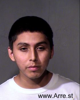 Henry Denashu Begay Mugshot