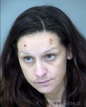 Heather Elizabeth Shockey Mugshot