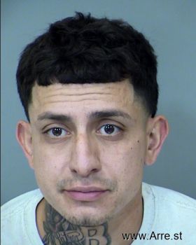 Hector  Sanchez-hurtado Mugshot