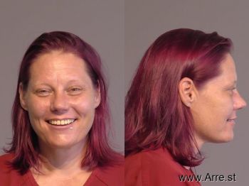 Holly Eileen Anderson Mugshot