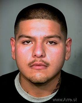 Houston  Silva Mugshot