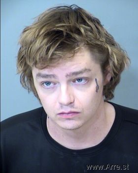 Ian Michael Anderson Mugshot