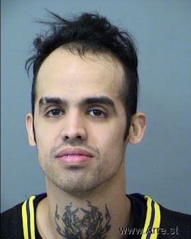 Ignacio  Lopez-villalobos Mugshot