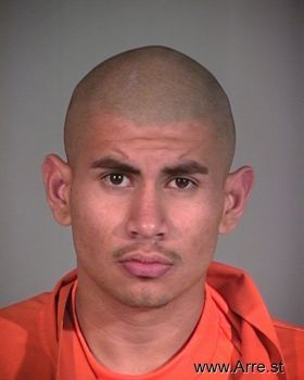 Ivan  Martinez-fierro Mugshot