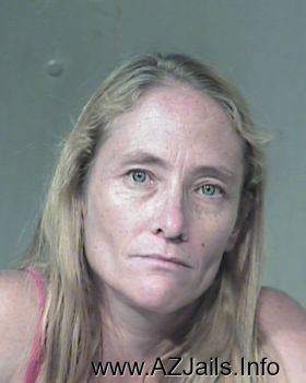 Julia Ann Hilliard Mugshot