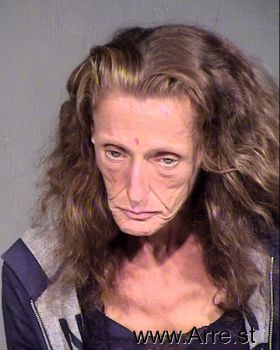 Julie Ann Anderson Mugshot