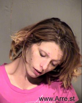 Julie Lynn Long Mugshot