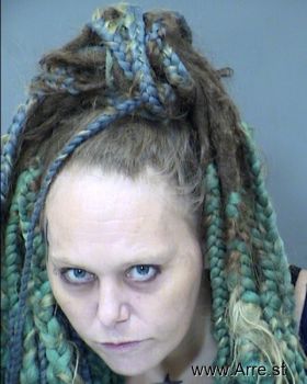 Jamie Dawn Farmer Mugshot