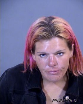 Jamie Lynn Lawrence Mugshot