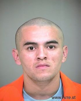 Javier H Molina Mugshot