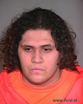 Javier J Molina Mugshot