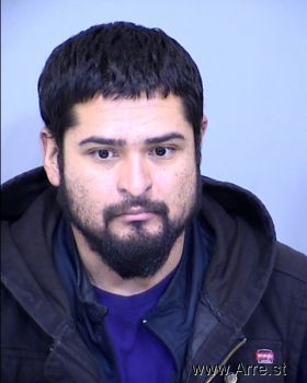 Javier  Molina Lopez Mugshot