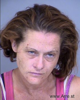 Jennifer Lee Johnston Mugshot