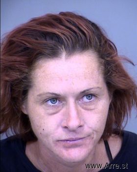 Jennifer L Johnston Mugshot