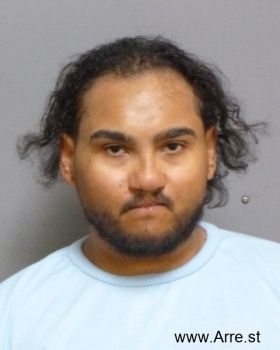 Jesse M. Flores Mugshot