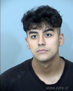 Jesus Julian Arreola-garibay Mugshot