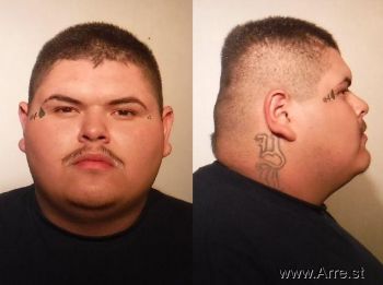 Jesus Javier Ibarra-martinez Mugshot