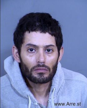 Jesus Manuel Ledezma-cobos Mugshot