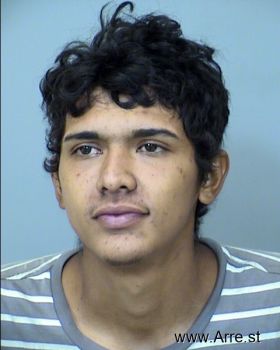 Jesus  Luna-avila Mugshot