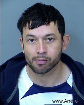 Jesus Miguel Moreno-meza Mugshot