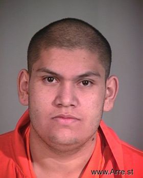 Jesus  Valdez-silvas Mugshot