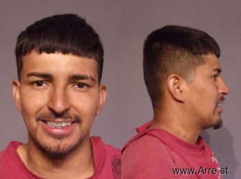 Jonathan Ricardo Chavez-araujo Mugshot