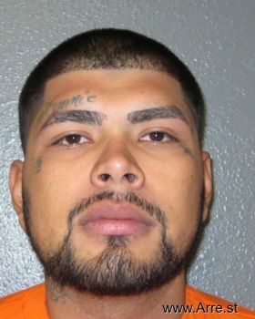 Jonathan  Sanchez Mugshot