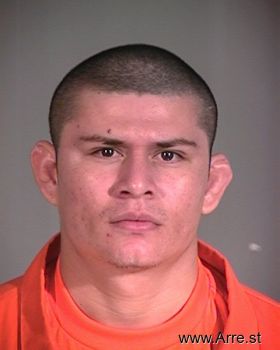 Jose  Espinoza-sibrian Mugshot