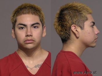 Jose Luis Figueroa Mugshot