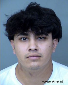 Jose Luis Ibarra Mugshot