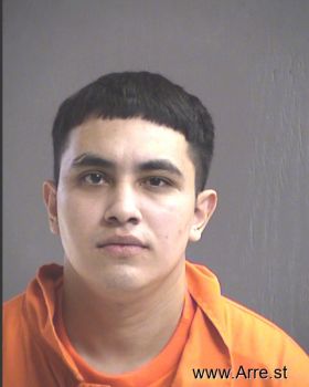 Jose L. Ibarra Mugshot