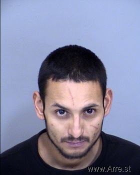 Jose Luis Penaloza Mugshot