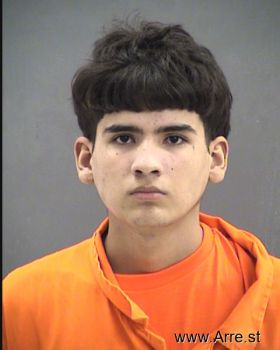 Jose . Roman Mugshot