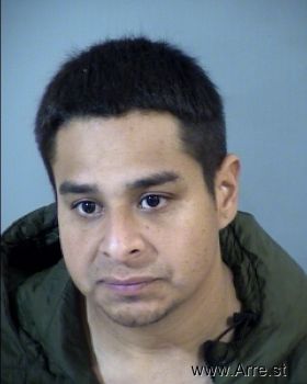 Jose G Soto-gastelum Mugshot